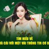 Vt999 Hướng Dẫn Cá Cược Bóng đá Trực Tuyến